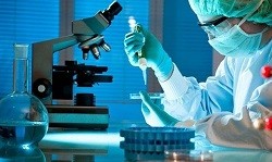 Підрозділи